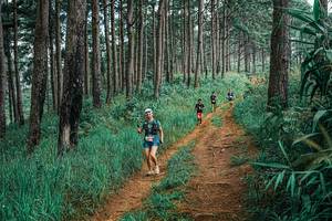 BIB: 
                            <button type="button" onclick="openModal(25655021)" class="btn btn-primary btn-sm float-right btn-popup" data-toggle="modal" data-target=".modal-high-quality">
                        <i class="fas fa-shopping-cart"></i> Add to Cart
                    </button>
                                            <button type="button" onclick="isThisMe(25655021, true)" class="btn btn-success btn-sm float-right btn-popup btn-isme hidden" data-toggle="tooltip" data-placement="bottom" title="นี่คือรูปของคุณใช่ไหม คลิกที่นี่เพื่อเอาเข้าอัลบั้ม">
                        <i class="fas fa-plus"></i> Add to album
                    </button>
                    <button type="button" onclick="isThisMe(25655021, false)" class="btn btn-warning btn-sm float-right btn-popup btn-isnotme hidden">
                        <i class="fas fa-ban"></i> Remove from album
                    </button>